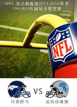 2015-2016赛季NFL亚利桑那红雀VS费城老鹰