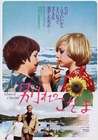 夏日回响Echoes of a Summer