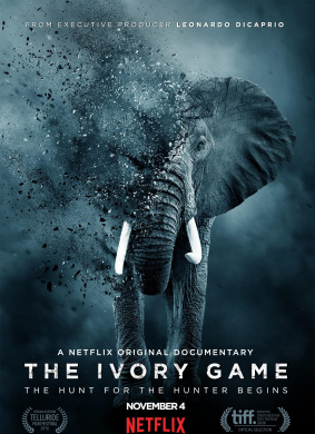 象牙游戏The Ivory Game