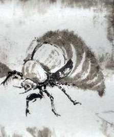 乡虫The Metamorphosis