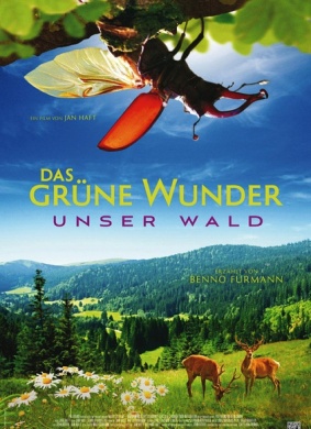 大自然之舞Das grüne Wunder - Unser Wald
