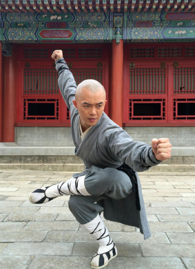 武僧传奇之终极一战