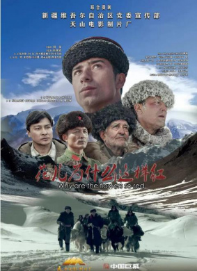 花儿为什么这样红Why are the flowers so red